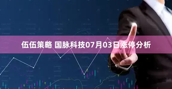 伍伍策略 国脉科技07月03日涨停分析