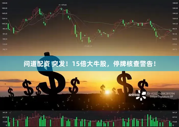 问道配资 突发！15倍大牛股，停牌核查警告！