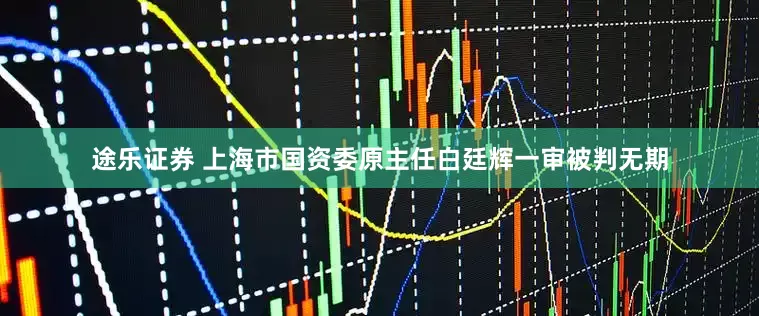 途乐证券 上海市国资委原主任白廷辉一审被判无期