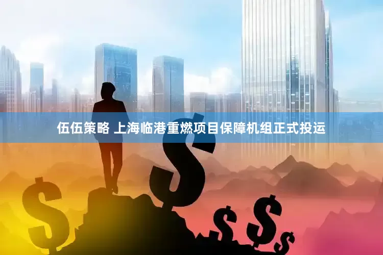 伍伍策略 上海临港重燃项目保障机组正式投运